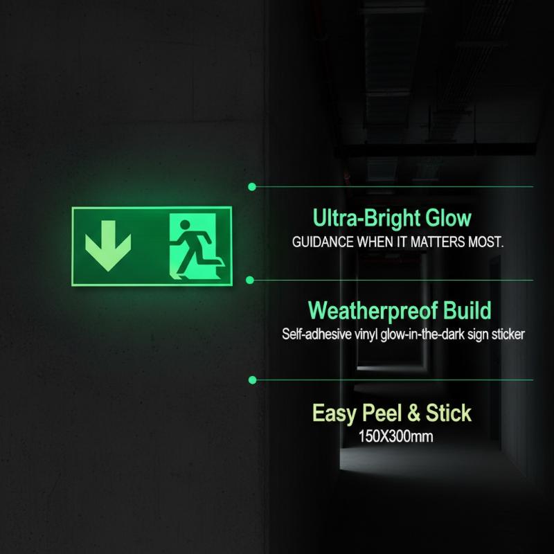 1 Hoja de Etiquetas Adhesivas  - Emergency Exit Sign reseña y precio