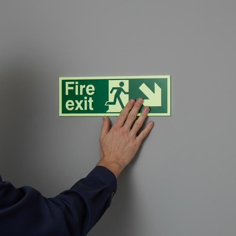 1 Hoja de Etiquetas Adhesivas  - Emergency Exit Sign reseña y precio